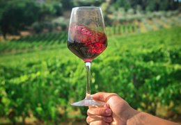 The difficult affair between wine and oxygen